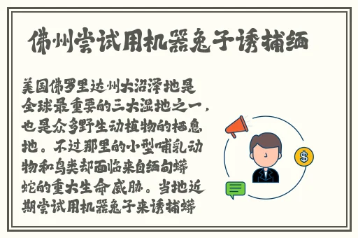 黑料网独家爆料